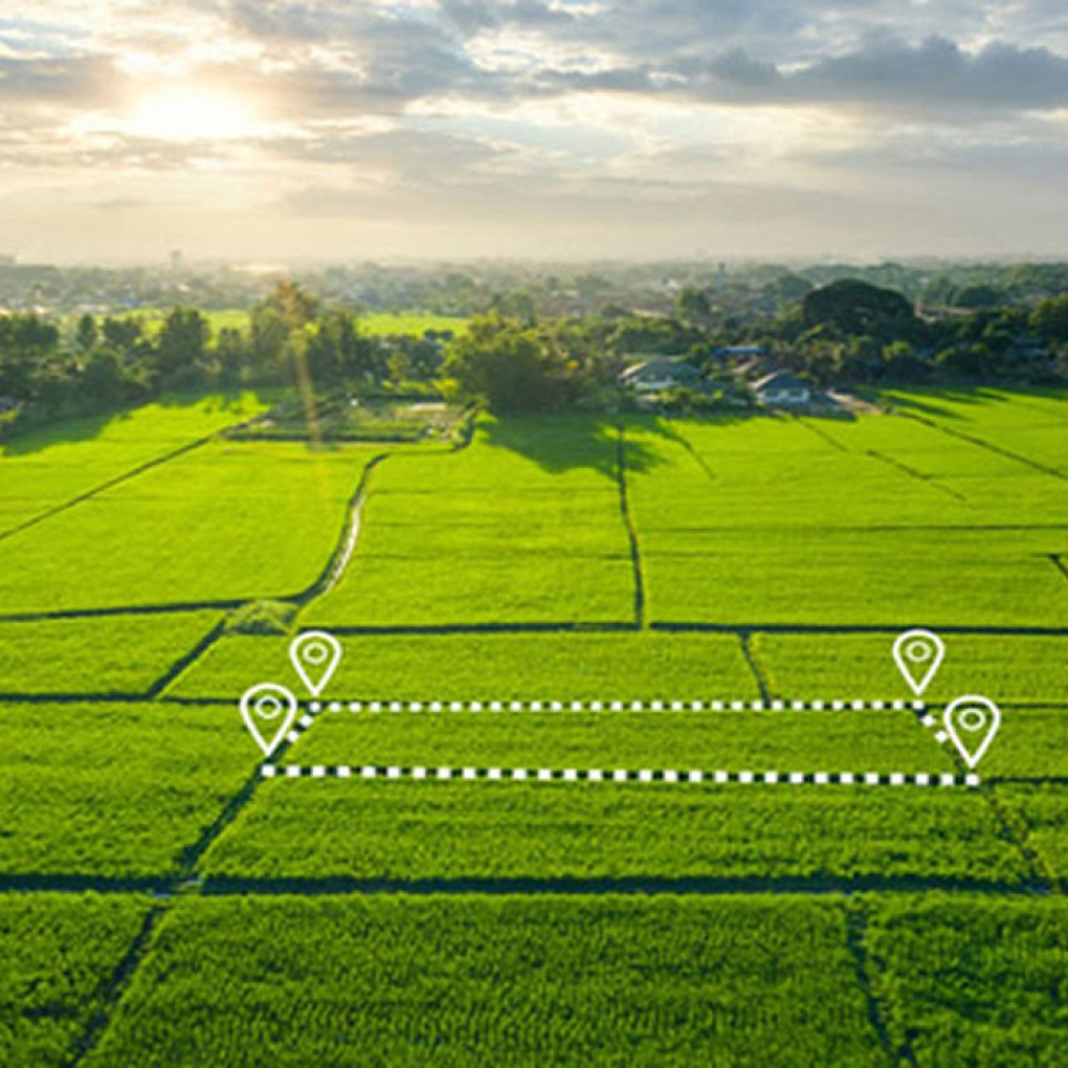 Godrej Vadodara Plots Banner 1.jpg